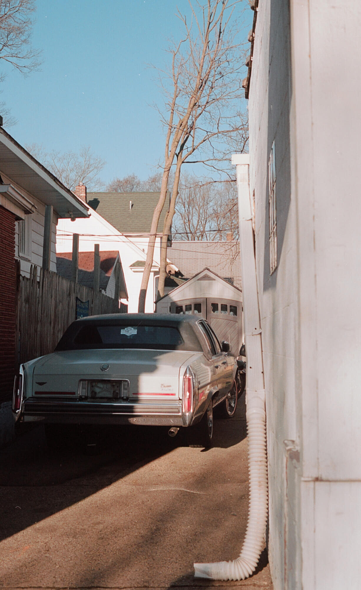  Photo by  Nik Guiney  