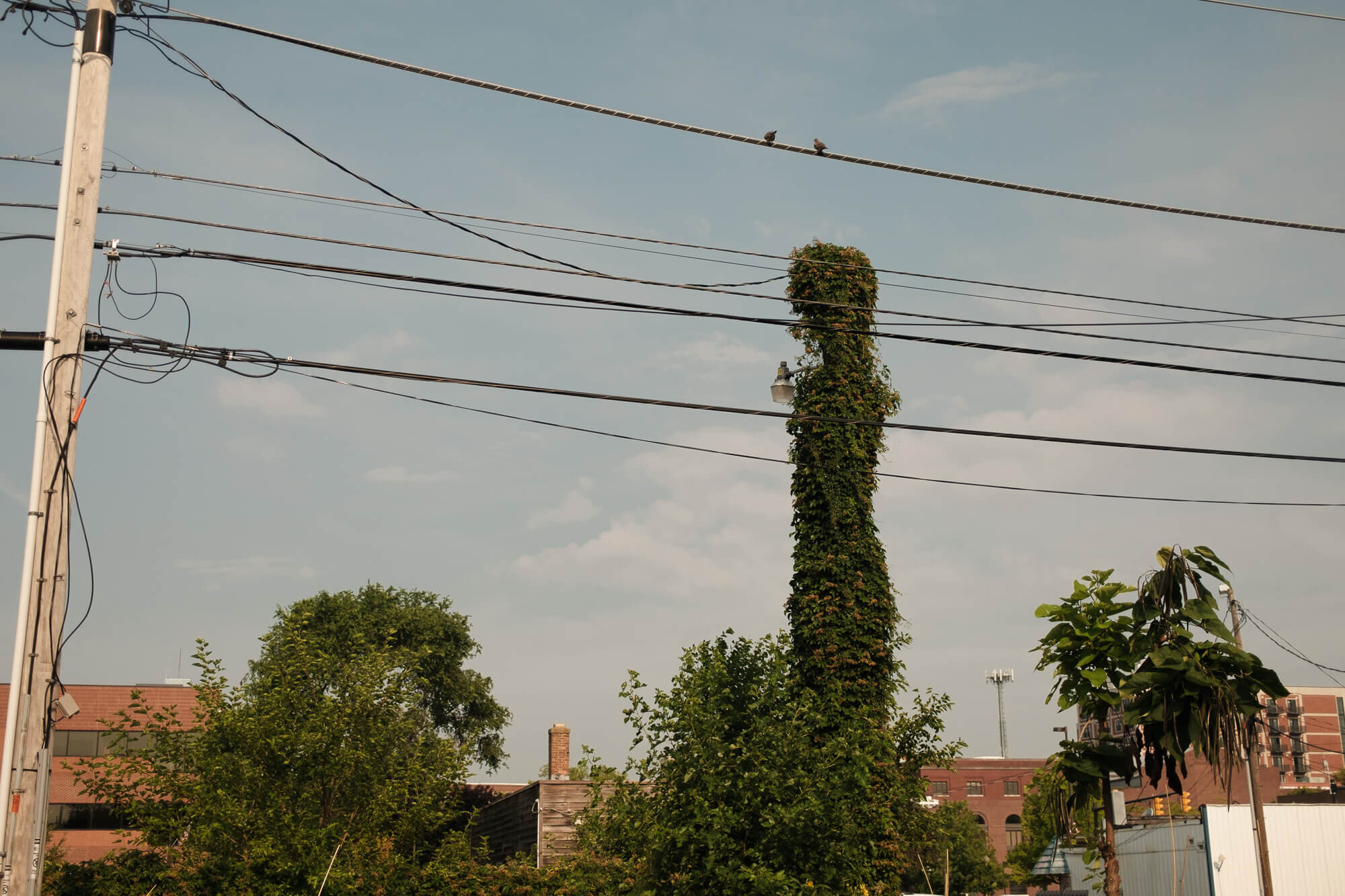 Those Who Live In Two Places