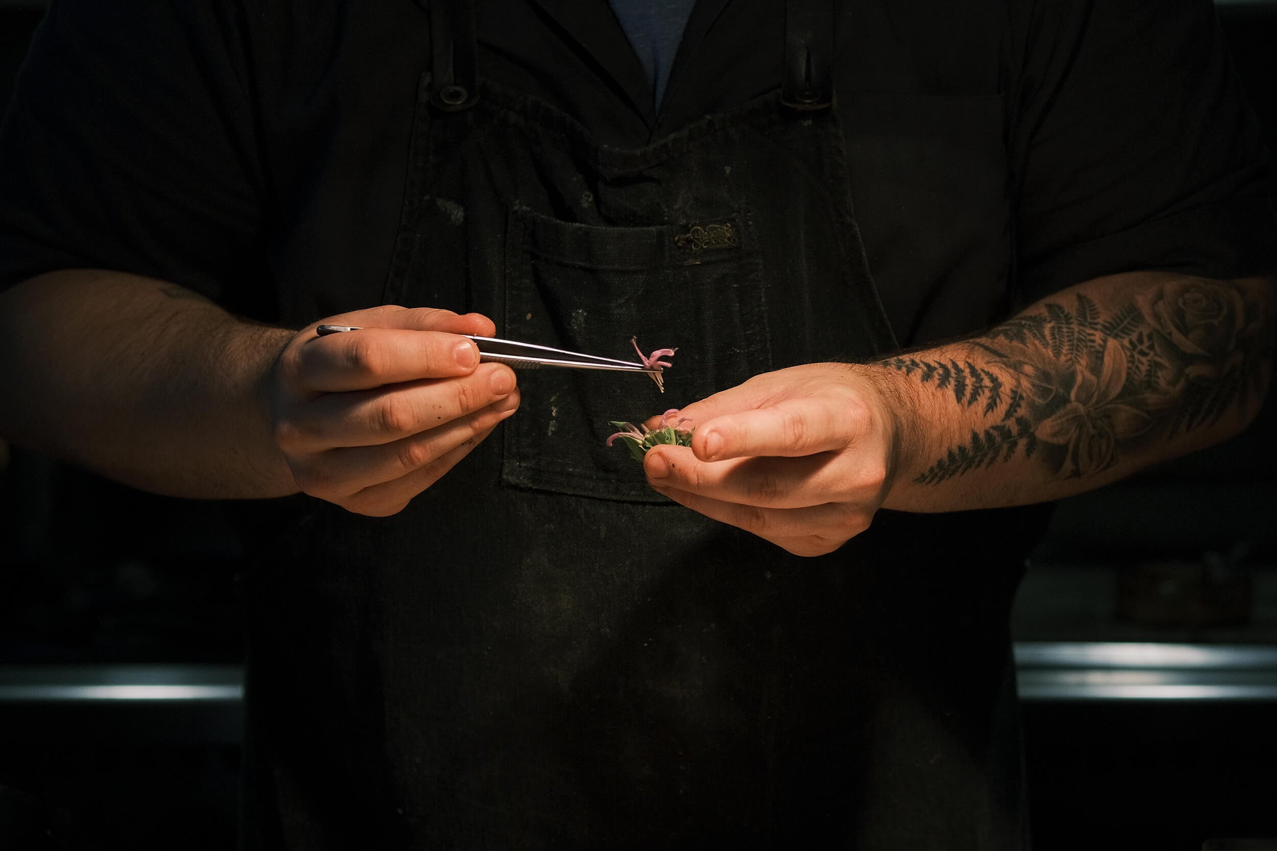 Introducing Food Belt